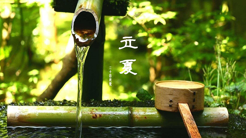 立夏|春意藏，夏初長