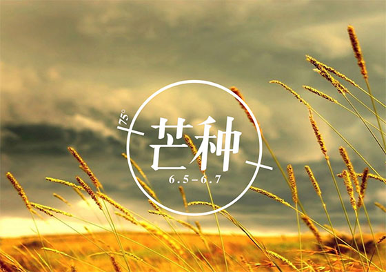 芒種丨你在歲月奔忙的模樣，值得被大地犒賞