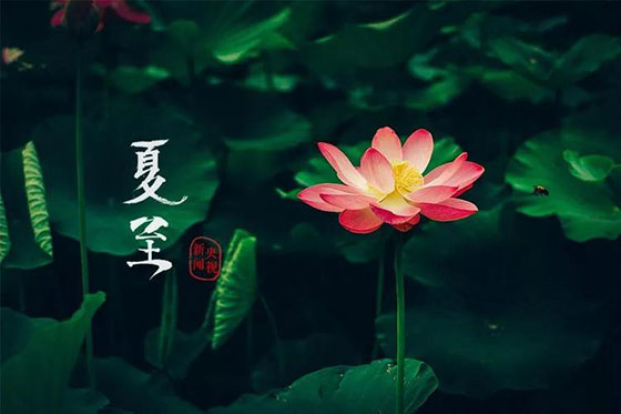 夏至|愿所有期許，如約而至