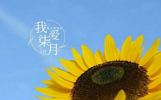 流光已過(guò)，再見(jiàn)七月