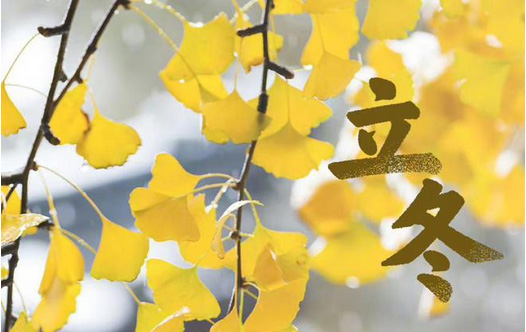 立冬?別了晚秋，遇見初冬