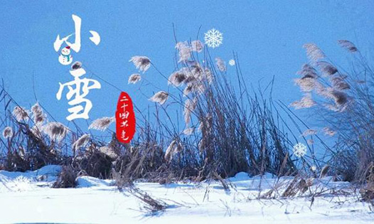今日小雪丨天地初寒，愿歲月安暖